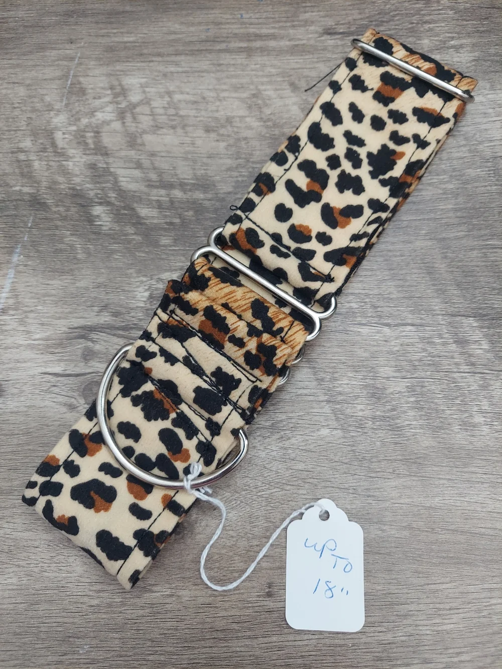 Custom Martingale Dog Collar 2